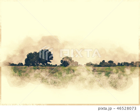 tree and field landscape on watercolor paint. tree and field landscape on watercolor paint. 46528073