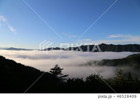 野迫川村の雲海 野迫川村の雲海 46528409