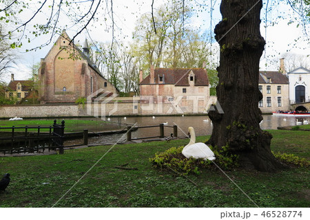 ベルギーの世界遺産の街ブルージュのベギン会修道院(Begijnhof of Belgium) 46528774