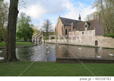 ベルギーの世界遺産の街ブルージュのベギン会修道院(Begijnhof of Belgium) ベルギーの世界遺産の街ブルージュのベギン会修道院(Begijnhof of Belgium) 46528783