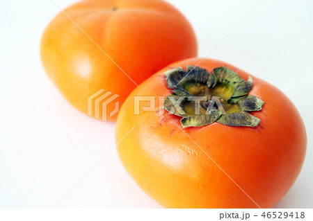 秋の味覚 46529418