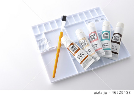 パレットと絵の具 パレットと絵の具 46529458