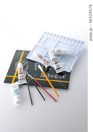 絵を描く 46529578