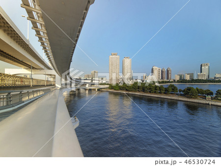 レインボーブリッジのプロムナードから見た台場公園の芝生広場と海浜公園の海揃いのビル群の風景写真。 46530724