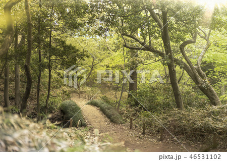 文京区駒込に18世紀に徳川五代将軍・徳川綱吉に建てられた六義園の蛛道から撮影した剡渓流を渡る藤浪橋。 文京区駒込に18世紀に徳川五代将軍・徳川綱吉に建てられた六義園の蛛道から撮影した剡渓流を渡る藤浪橋。 46531102
