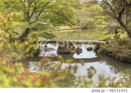 駒込に18世紀に徳川綱吉に建てられた六義園の芦部茶屋跡の前に通る蛛道から撮影した大泉水を渡る渡月橋。 駒込に18世紀に徳川綱吉に建てられた六義園の芦部茶屋跡の前に通る蛛道から撮影した大泉水を渡る渡月橋。 46531441