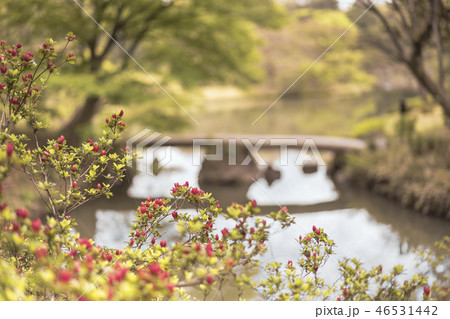 駒込に１８世紀に徳川綱吉に建てられた六義園の芦部茶屋跡の前に通る蛛道から撮影した大泉水を渡る渡月橋。 46531442