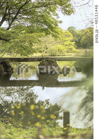 駒込に１８世紀に徳川綱吉に建てられた六義園の芦部茶屋跡の前に通る蛛道から撮影した大泉水を渡る渡月橋。 46531446