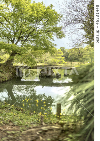 駒込に１８世紀に徳川綱吉に建てられた六義園の芦部茶屋跡の前に通る蛛道から撮影した大泉水を渡る渡月橋。 46531448