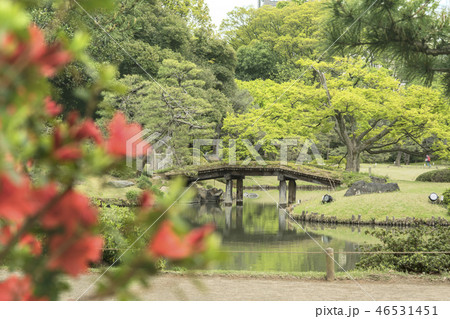 駒込に18世紀に徳川綱吉に建てられた六義園の紀州から撮影した大泉水を渡る田鶴橋。 駒込に18世紀に徳川綱吉に建てられた六義園の紀州から撮影した大泉水を渡る田鶴橋。 46531451
