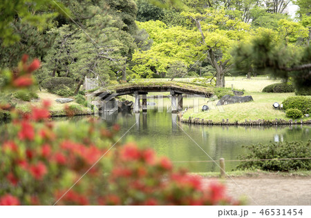 駒込に18世紀に徳川綱吉に建てられた六義園の紀州から撮影した大泉水を渡る田鶴橋。 駒込に18世紀に徳川綱吉に建てられた六義園の紀州から撮影した大泉水を渡る田鶴橋。 46531454