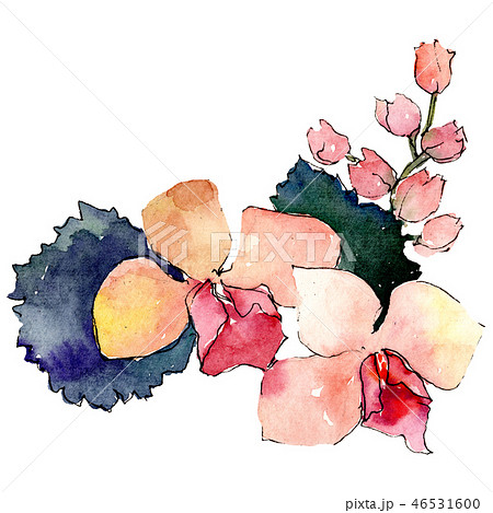 Orange orchid flowers with green leaves. Isolated bouquet illustration element. Watercolor Orange orchid flowers with green leaves. Isolated bouquet illustration element. Watercolor 46531600