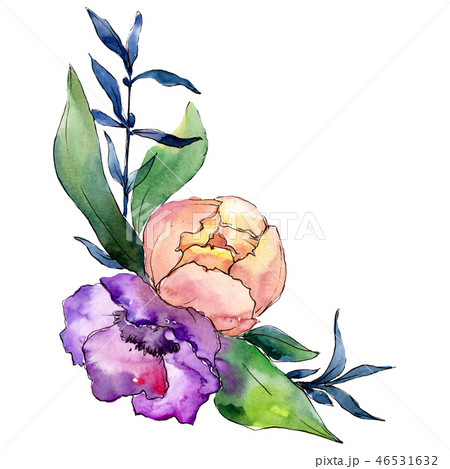 Purple and pink peony with green leaves. Isolated bouquet illustration element. Watercolor Purple and pink peony with green leaves. Isolated bouquet illustration element. Watercolor 46531632