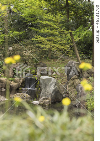 駒込にある六義園の千鳥橋から見た和歌の十二境の一つである紀川上の景色を再現した三尊石、枕流洞と水分石 駒込にある六義園の千鳥橋から見た和歌の十二境の一つである紀川上の景色を再現した三尊石、枕流洞と水分石 46531700