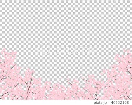 ソメイヨシノ 46532168