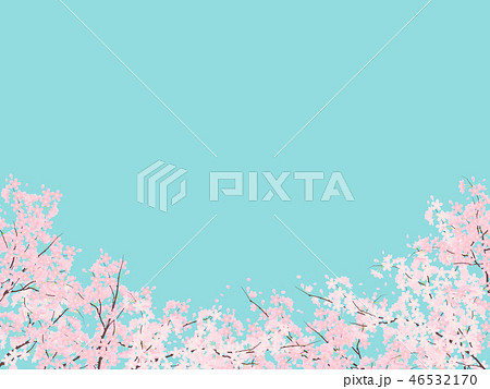 ソメイヨシノ 46532170