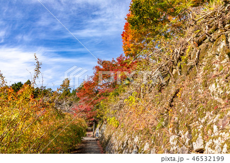 通用門への参道　百済寺 46532199