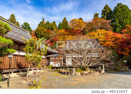 南庭 本坊喜見院  百済寺の紅葉 46532657