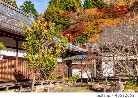 南庭 本坊喜見院  百済寺の紅葉 46532658