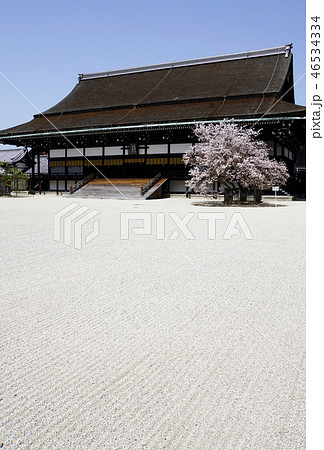 御所 京都御所 京都観光 白砂 春 桜 御所 京都御所 京都観光 白砂 春 桜 46534334