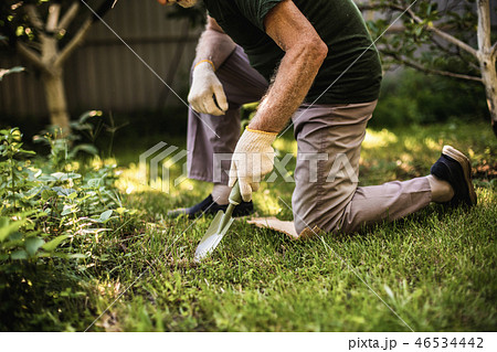 Cropped photo of old man is doing gardening Cropped photo of old man is doing gardening 46534442