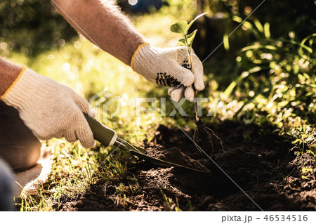 Working man during farming in his backyard Working man during farming in his backyard 46534516