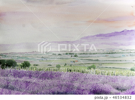 富良野、ラベンダーの丘を描いた水彩画 46534832