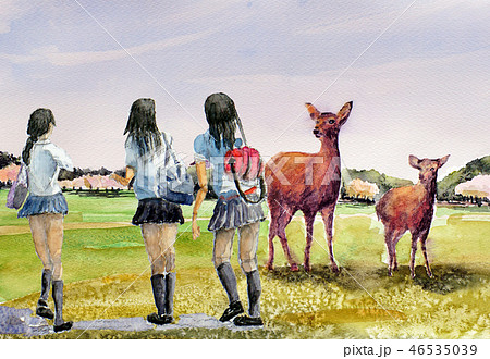 奈良公園 奈良公園の鹿 女子高生 奈良観光 修学旅行 のイラスト素材 46535039 Pixta