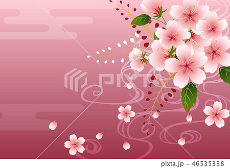 桜の背景画像 桜の背景画像 46535338
