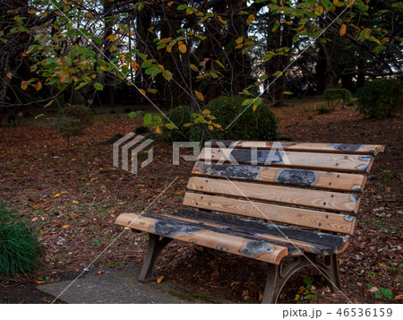 An empty and worn bench in a park An empty and worn bench in a park 46536159