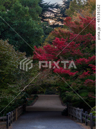 A scenic public footpath 46536162