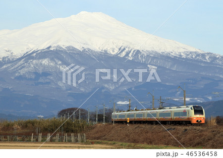 羽越本線・早春の庄内路を行く特急列車 46536458