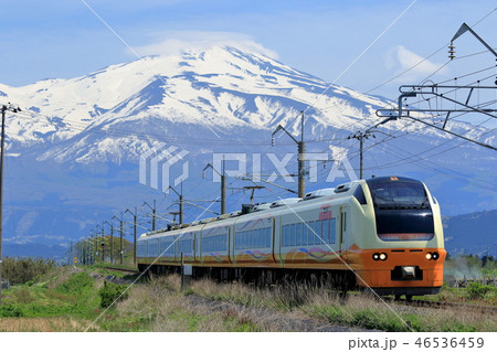 羽越本線・早春の庄内路を行く特急列車 46536459