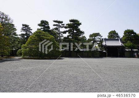 京都御所　仙洞御所　日本庭園　桜　春　京都観光　 46536570