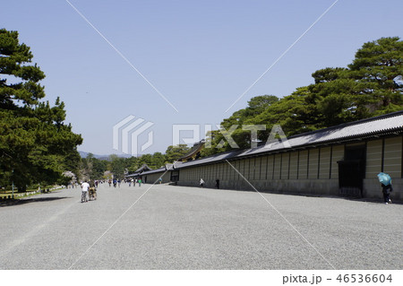 京都御所 仙洞御所 日本庭園 桜 春 京都観光 京都御所 仙洞御所 日本庭園 桜 春 京都観光 46536604