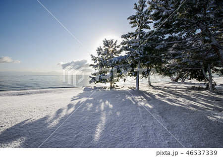 冬景色の琵琶湖畔の朝 46537339