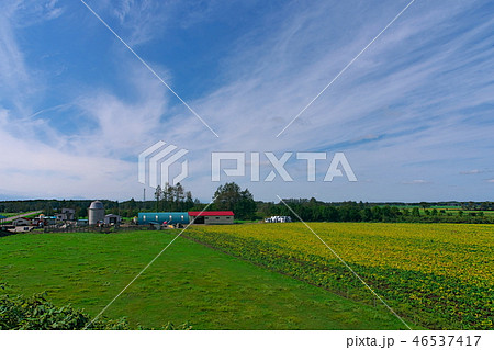 十勝の風景 十勝の風景 46537417