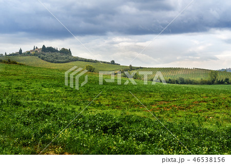 Landscape in Chianti region in province of Siena 46538156