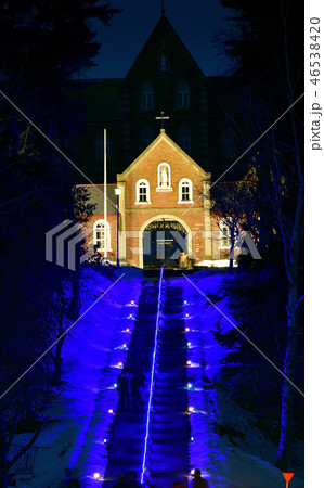 北海道北斗市上磯地区のトラピスト男子修道院でクリスマスライトアップの風景を撮影 46538420