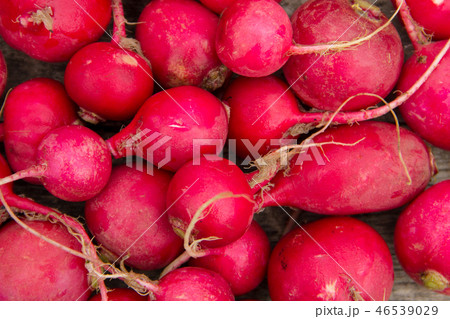 Fresh healthy red raddisch closeup Fresh healthy red raddisch closeup 46539029