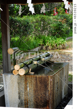 池田八坂神社の手水舎-1 池田八坂神社の手水舎-1 46539215