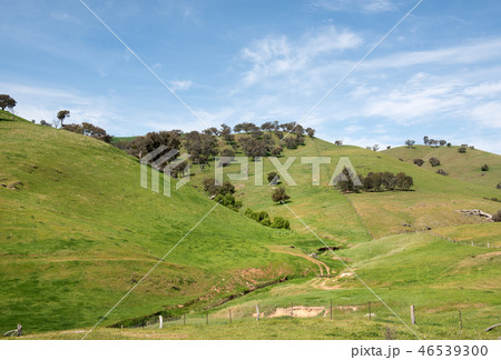 Farmland in Southern New South Wales, Australia Farmland in Southern New South Wales, Australia 46539300