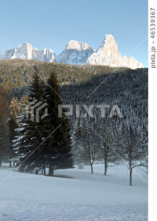 Winter Scene, the Dolomites, Italy 46539367