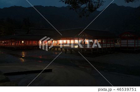 夜明け前の厳島神社 46539751