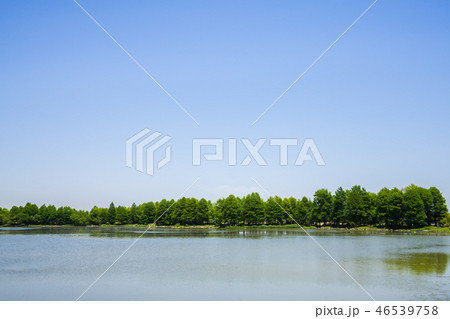 快晴の天満大池 快晴の天満大池 46539758