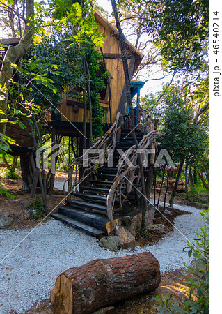 Fantasy tree house for children, playing 46540214