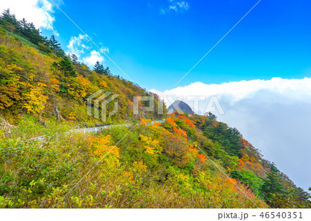 四国「天空の道」紅葉に染まるUFOラインの眺め(愛媛県西条市)※作品コメント欄に撮影位置 四国「天空の道」紅葉に染まるUFOラインの眺め(愛媛県西条市)※作品コメント欄に撮影位置 46540351