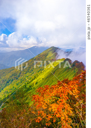 東黒森~伊予富士縦走路から、東黒森山頂方面を見る!(愛媛県西条市)※作品コメント欄に撮影位置 東黒森~伊予富士縦走路から、東黒森山頂方面を見る!(愛媛県西条市)※作品コメント欄に撮影位置 46540361