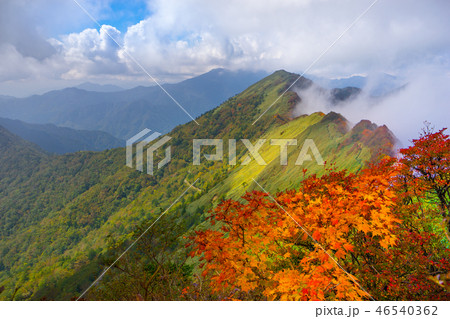 東黒森~伊予富士縦走路から、東黒森山頂方面を見る!(愛媛県西条市)※作品コメント欄に撮影位置 東黒森~伊予富士縦走路から、東黒森山頂方面を見る!(愛媛県西条市)※作品コメント欄に撮影位置 46540362