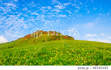 紅葉に染まる、四国の名峰「瓶ヶ森」を見上げる！(愛媛県西条市)※作品コメント欄に撮影位置 46540383